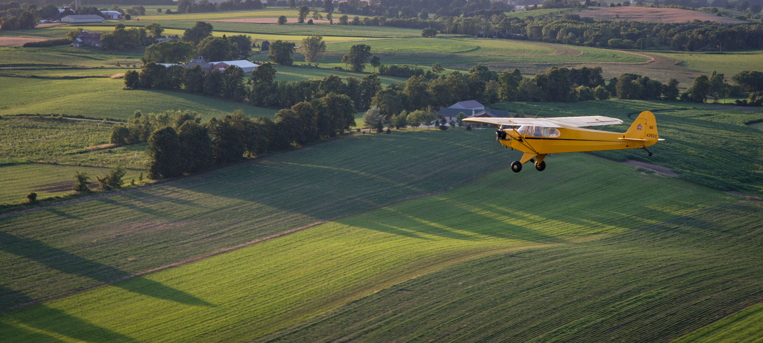 Cub Header
